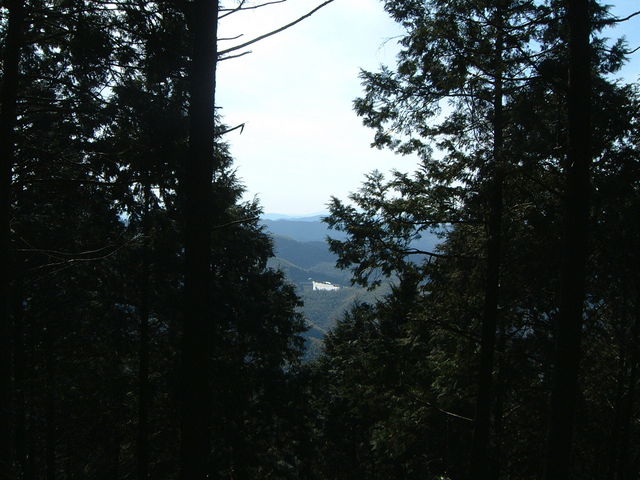 �W�]������_�Y�x�E���x