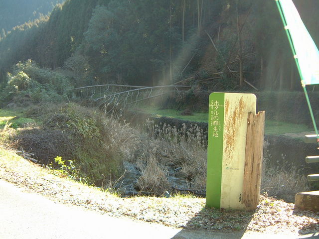 Ԃ񂳂̒AAӏt̓eʐ^3