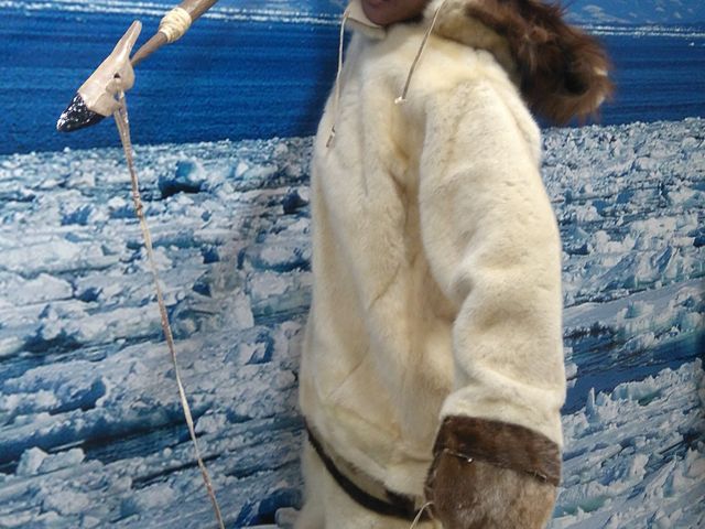 �������l�̎�̗l�q_�������L�ˊ�