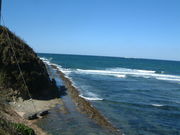 Ԃ񂳂̎ᏼkC݂̓eʐ^3