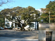 Ԃ񂳂̋{ƏZi{HƋyj̓eʐ^2