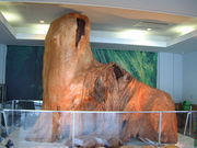 Ԃ񂳂̎MqRW]̓eʐ^1