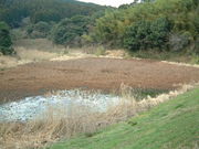 Ԃ񂳂̂傤ԒJLv̓eʐ^2