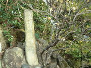 Ԃ񂳂͖̉É_̓eʐ^1