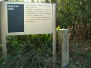 Ԃ񂳂͖̉É_̓eʐ^2