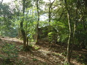 Ԃ񂳂̔LvZ^[̓eʐ^1