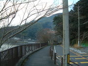 Ԃ񂳂͓̉r̍̓eʐ^2