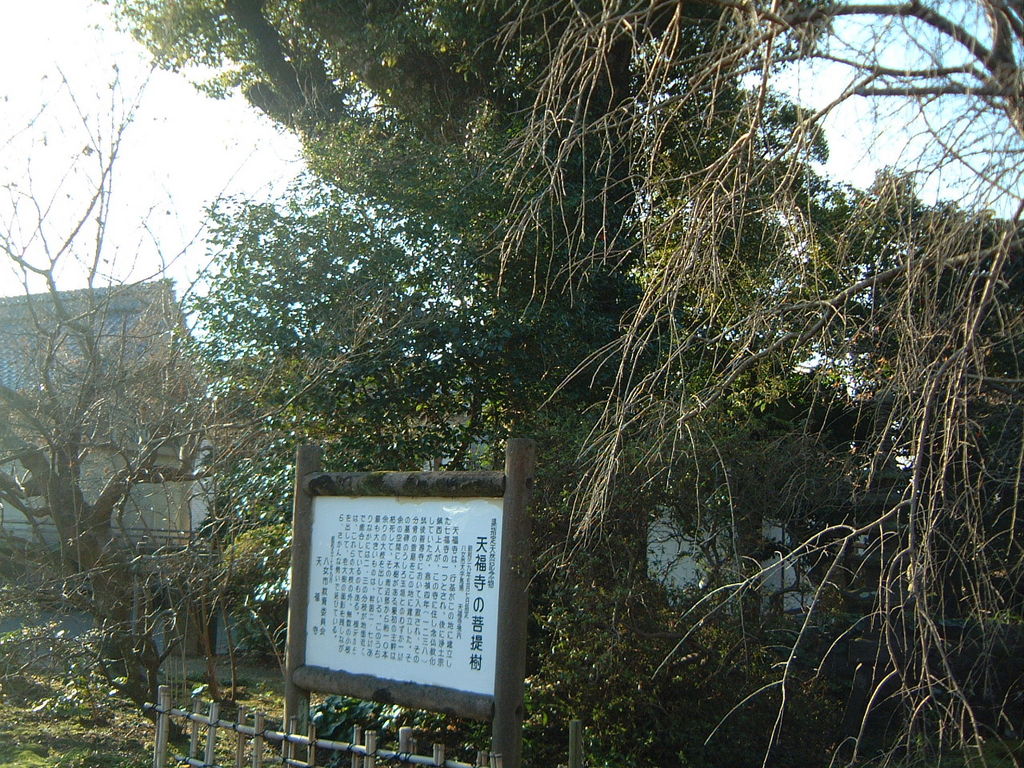 福岡の動物園 植物園ランキングtop10 5ページ目 じゃらんnet