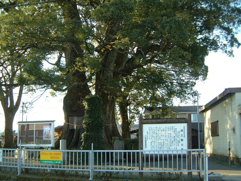 福岡の動物園 植物園ランキングtop10 5ページ目 じゃらんnet