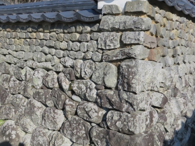 �g�ǐ�̒�����