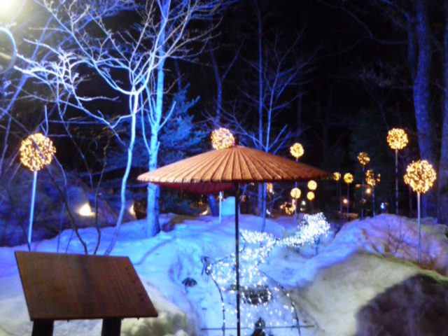 ���C�g�A�b�v���ꂽ����_���Ƃ̗�