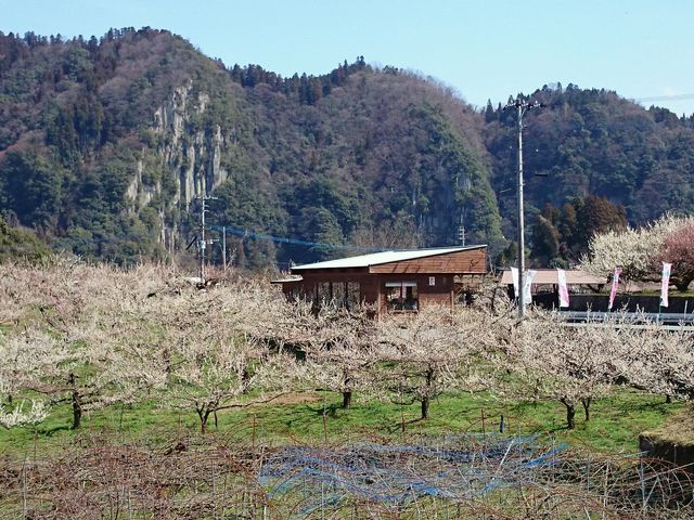 ܂肪 IOł YłB́A̔Α H炢Ă܂B_ڑ~