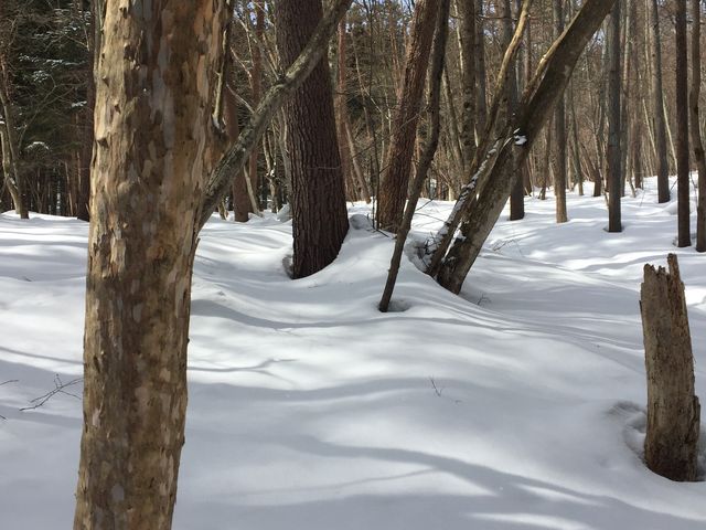 X̒̈ꖇ_tHXgEH[^[@݂Ȃ݃x[X