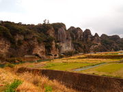 ˂񂳂̋G߂莩R̓eʐ^1