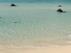 Ⴟ񂳂̈ɗǕEnւ̓eʐ^1