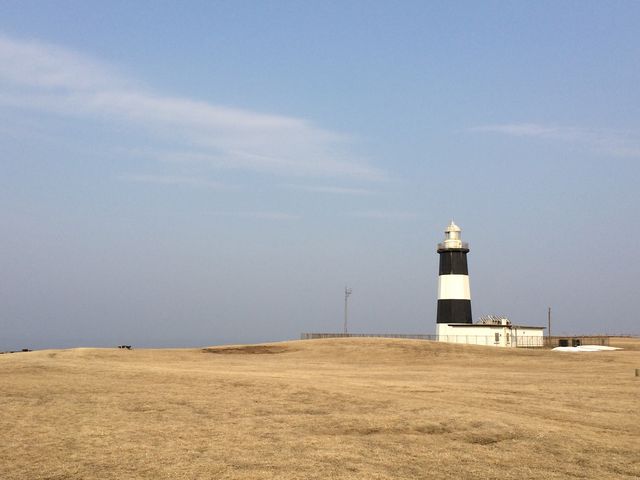 ���̓���_�\�斦�C��