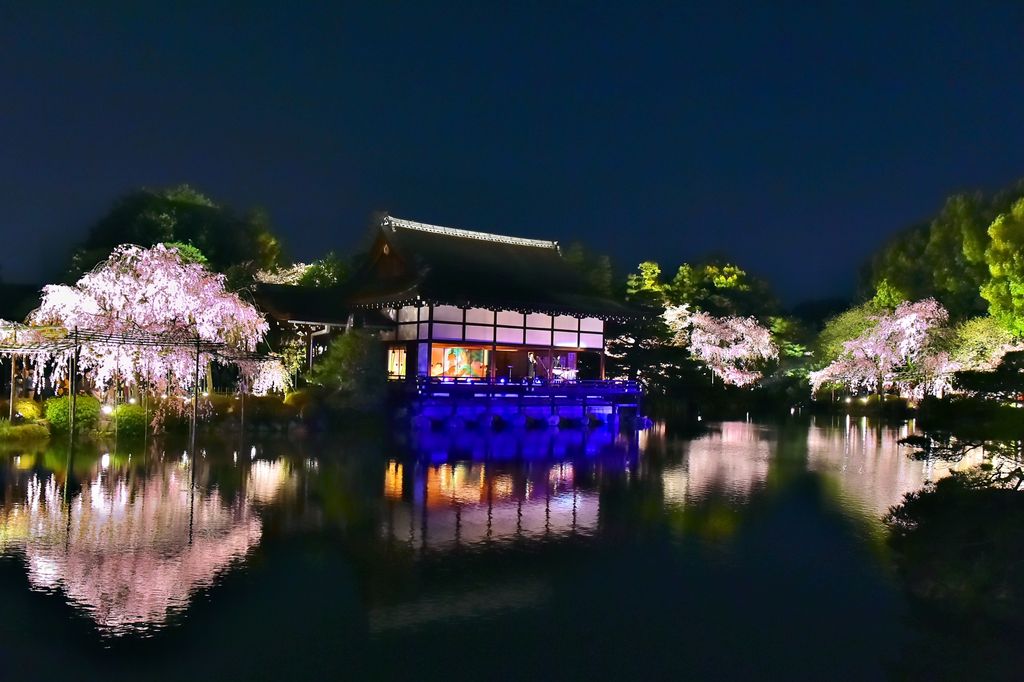 18 京都の夜桜スポット6選 ライトアップされた桜の下で花見を楽しもう じゃらんニュース