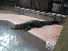 sJ񂳂̔Moiijւ̓eʐ^1