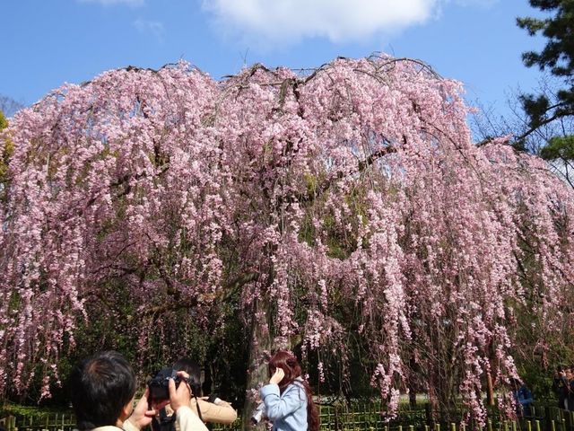 ���s�䏊�̂������_���s�䏊