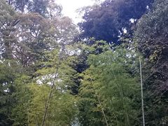 �ҋ{�_�Ђ̎ʐ^2