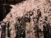 䂤񂳂̎Ōyё㎛̍̓eʐ^3