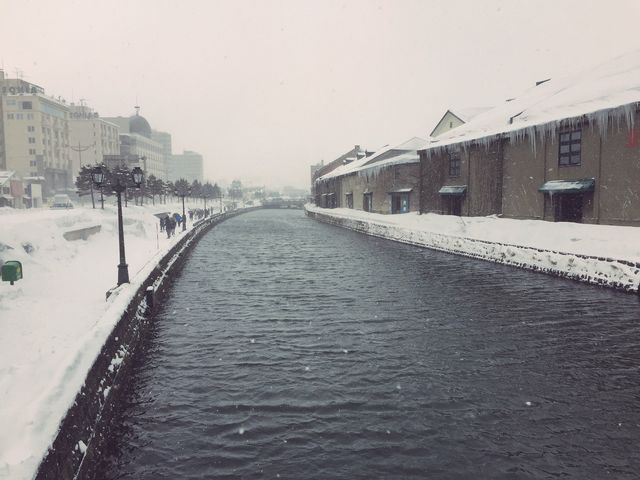 �~�̉^��_�^�͂ƐΑ��q�ɌQ