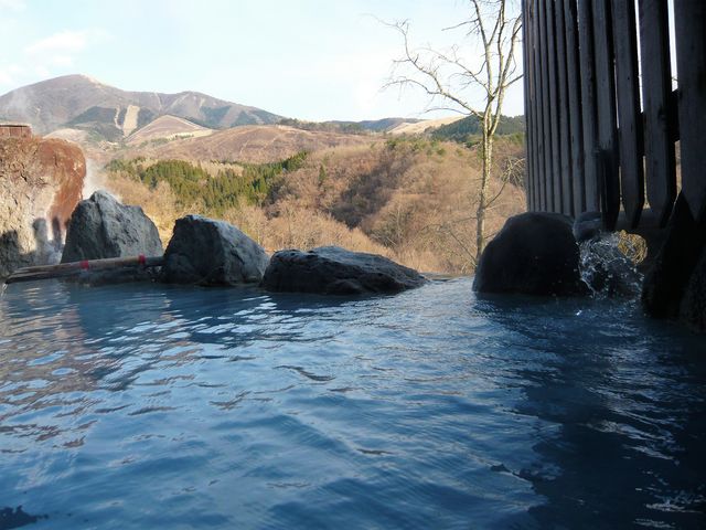 �����̓R�o���g�u���[_�L��̓��@�W�]�I�V���C