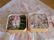 ҂₳̖ݕ{X ݉̓X̓eʐ^1