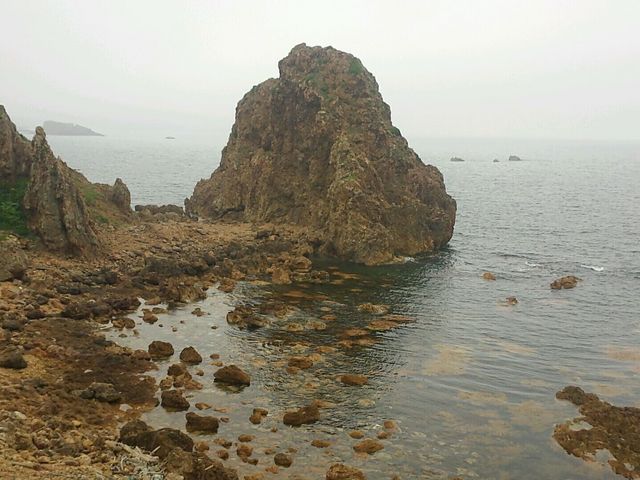 �ԑ�_�ܔ\��