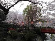 󂳂̑Ő̍EccW̓eʐ^1