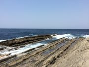 K`R̒RԉYC݃R[X̓eʐ^1