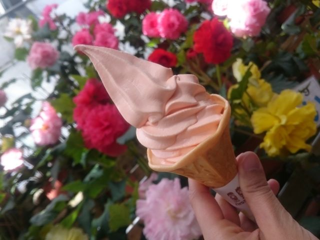 �x�S�j�A�\�t�g_�����@�Ԃ��������