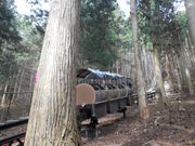 ݂U񂳂̖ʕsߓ̓eʐ^1