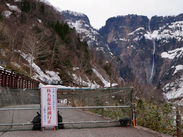 2017/4/28
�̖���͒����t�߁i�w�ǌ����Ȃ��j�A�E�͗�����500���̃n���m�L��B_�̖���