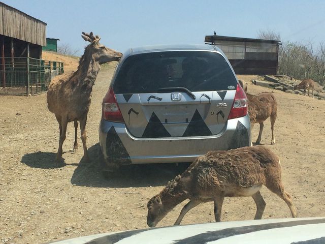 Ȋŉa肪ł܂B_kTt@p[N