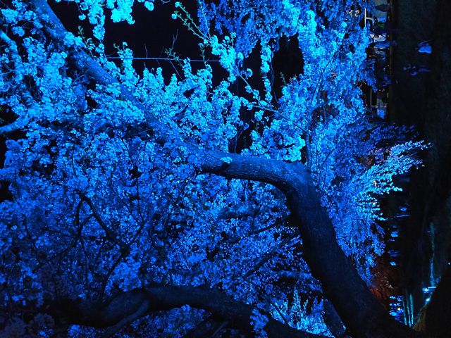 ��̃��C�g�A�b�v���ꂽ���͌��z�I�ł�����_�ω�����̍�