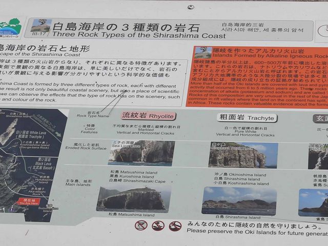 EyYɎjwԂ̔C݂̓eʐ^2