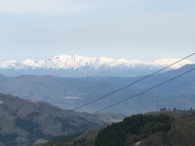 �����G�R�[���C��