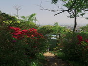 sklfh̏R̍EccW̓eʐ^1