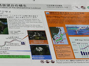 EyYɎjwԂ̔C݂̓eʐ^1