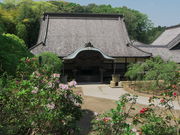 sklfh����̊ϕ����̓��e�ʐ^1