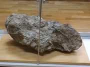 EyYɎjwԂ̉B򋽓yق̓eʐ^1