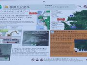 ���E�y�Y��Ɏj�����w�Ԃ���̕��Y�g���l���̓��e�ʐ^1