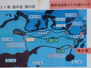 EyYɎjwԂ̏yPYC݂̓eʐ^1