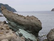 EyYɎjwԂ̉B݂̓̓eʐ^2