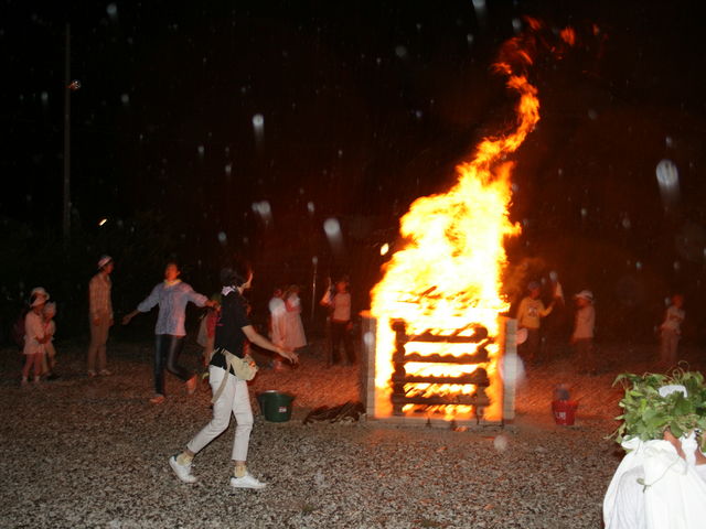 Lvt@CA[ł܂B_Cr[`OsO][g Kingboy