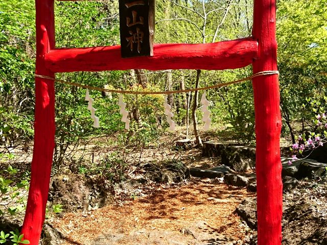 �����ɂ�����������\��R�_�_�ԏ鎩�R��