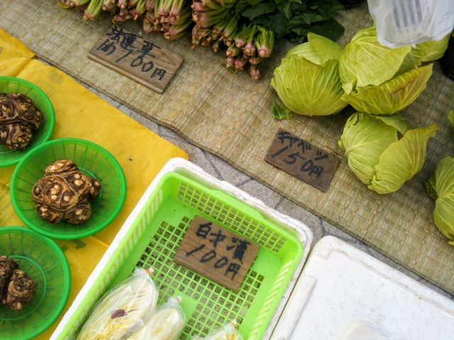 �w���Y�̒��s�̂���؁x�B_���Y�̒��s