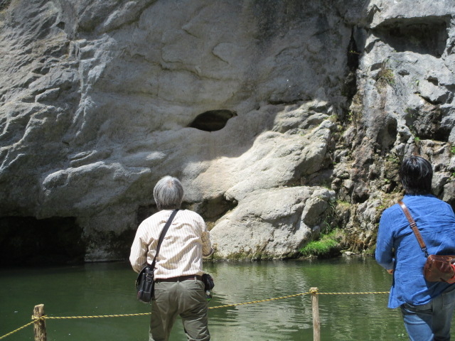 ����́A�ʂ̕��X���u�^�ʓ����v�ɒ��풆�B_�Ǖ@�k