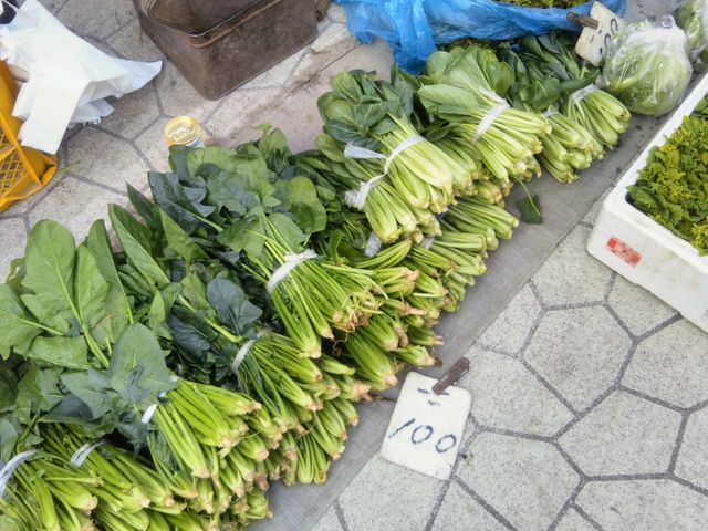 �w�e�؂Ȃق���񑐁x�B_���Y�̒��s